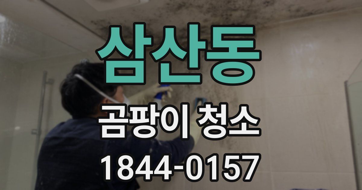 삼산동 곰팡이 청소