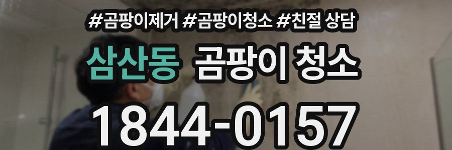 삼산동 곰팡이 청소