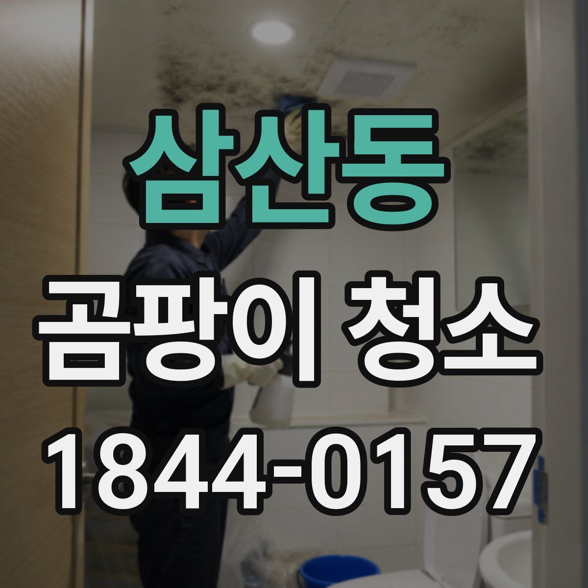 삼산동 곰팡이 청소
