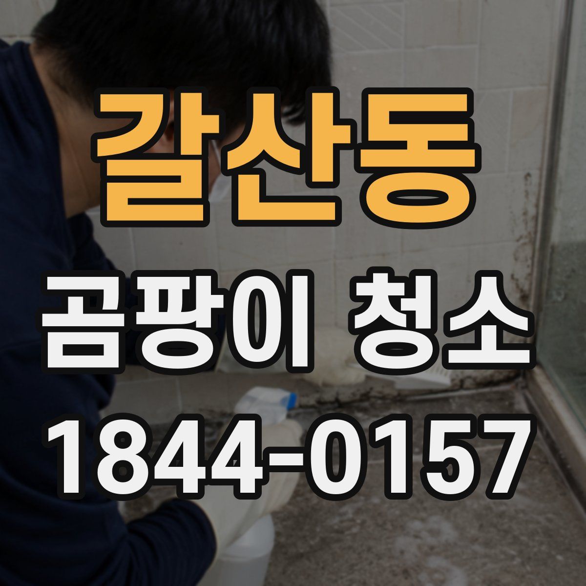 갈산동 곰팡이 청소