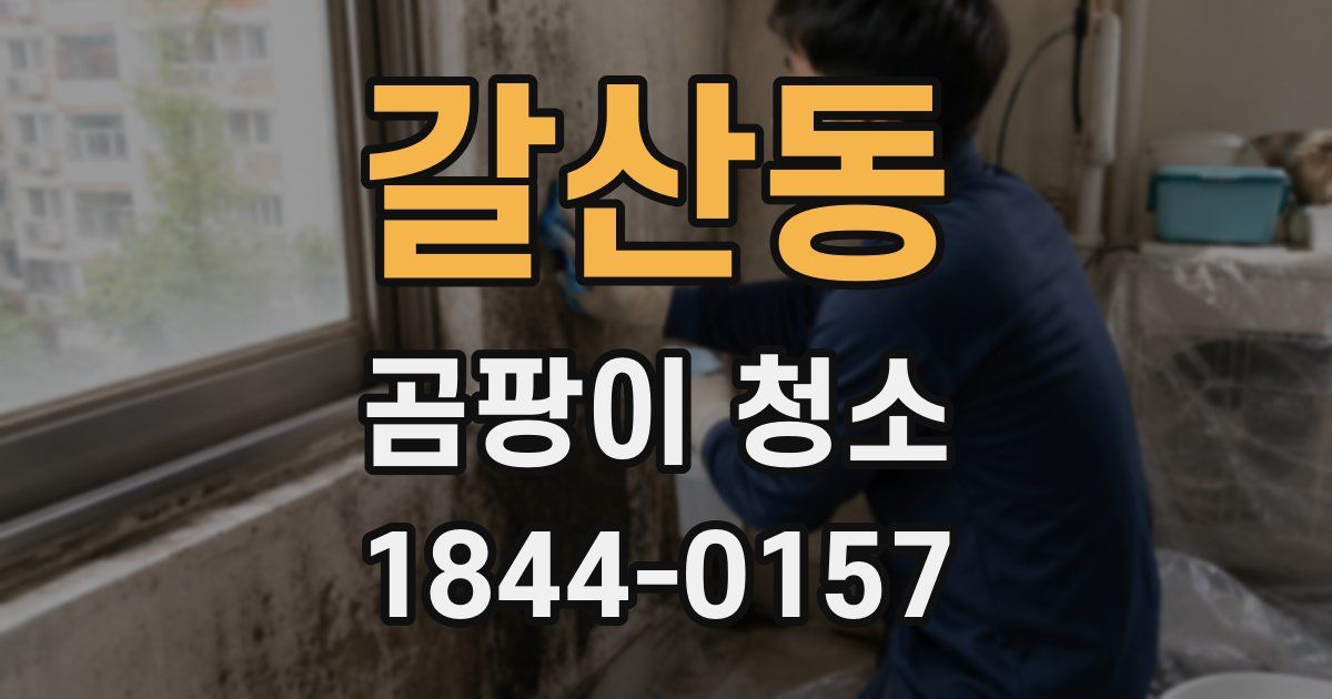 갈산동 곰팡이 청소