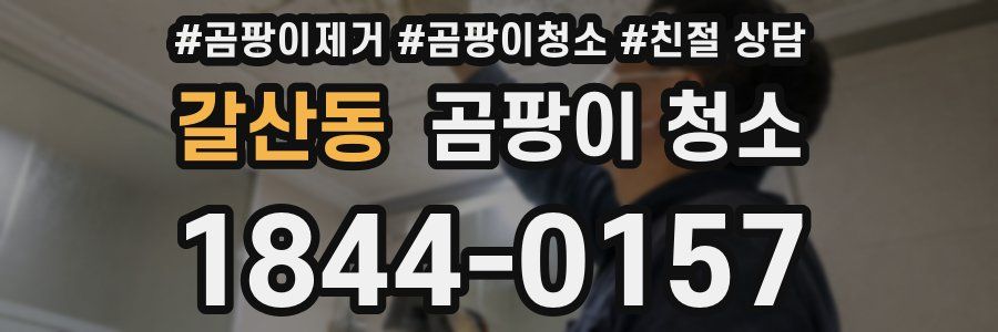 갈산동 곰팡이 청소