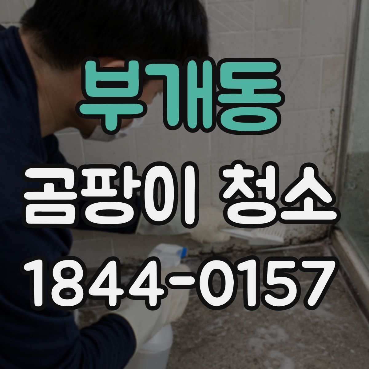부개동 곰팡이 청소