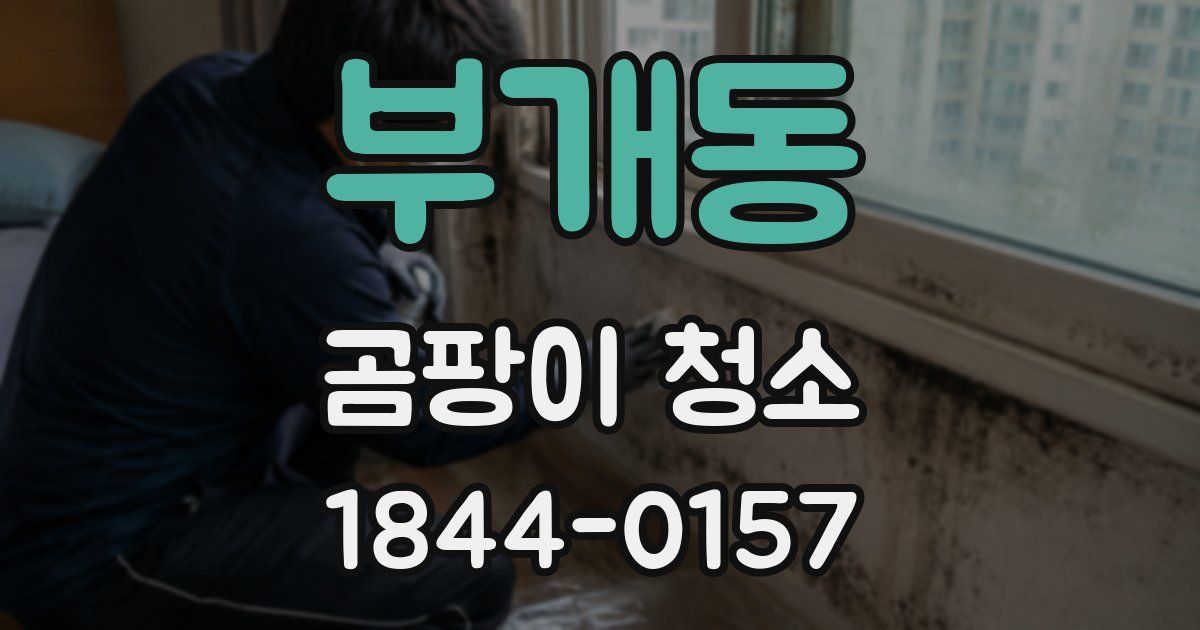 부개동 곰팡이 청소