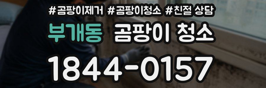 부개동 곰팡이 청소