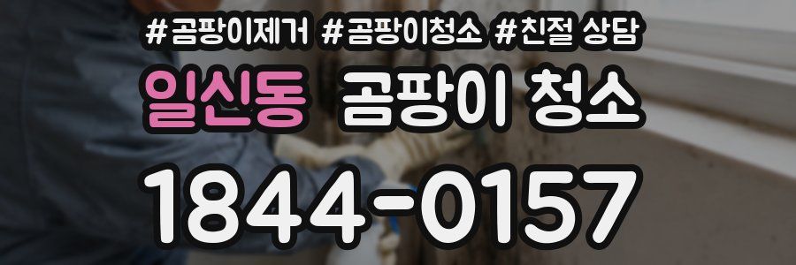 일신동 곰팡이 청소