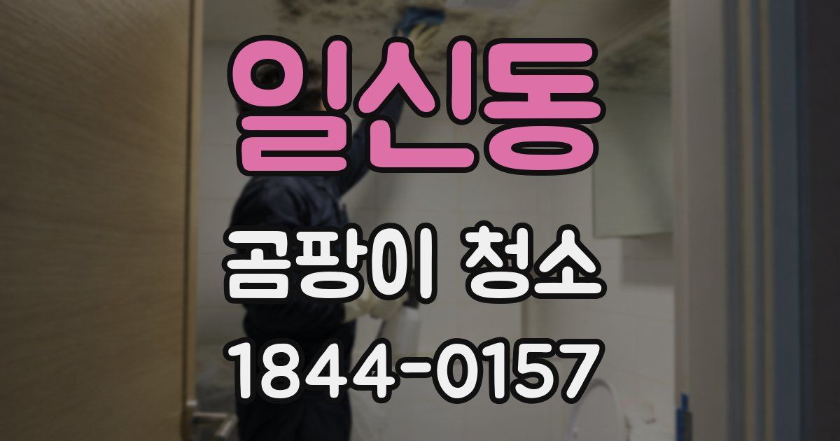 일신동 곰팡이 청소