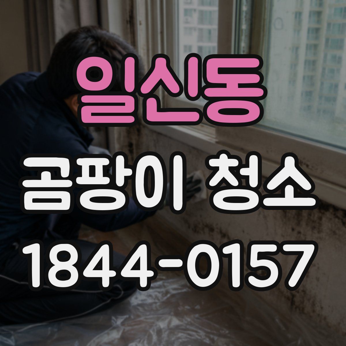 일신동 곰팡이 청소
