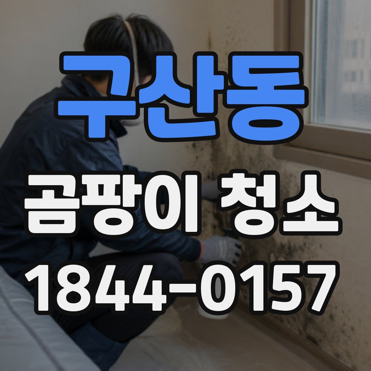 구산동 곰팡이 청소