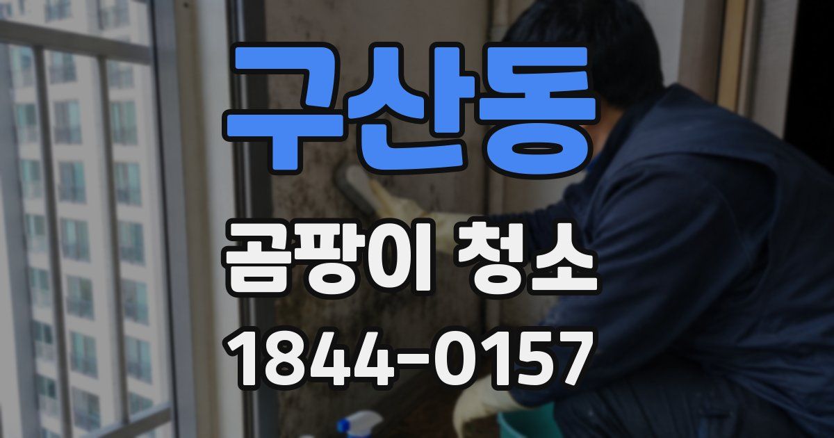 구산동 곰팡이 청소