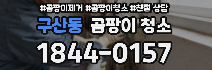 구산동 곰팡이 청소