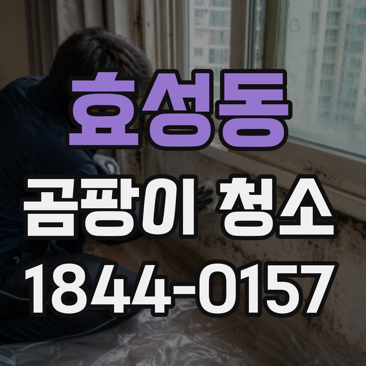 효성동 곰팡이 청소