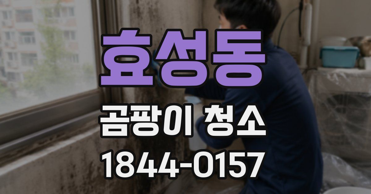 효성동 곰팡이 청소