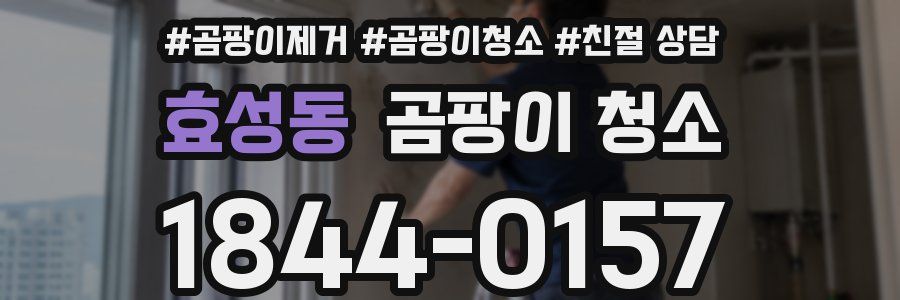 효성동 곰팡이 청소