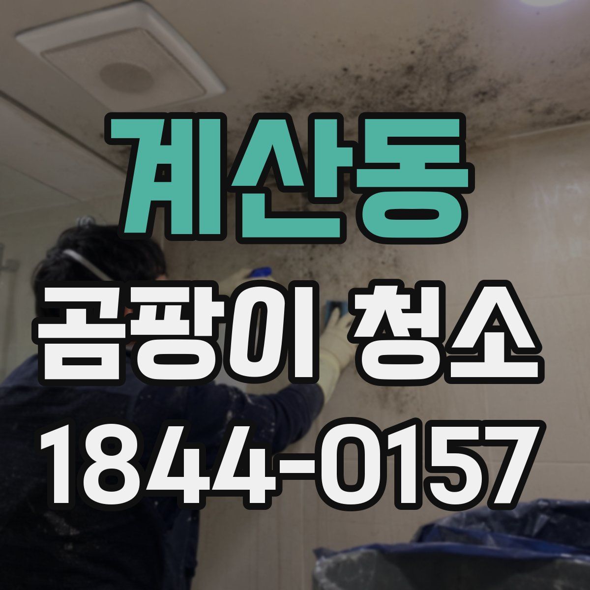 계산동 곰팡이 청소
