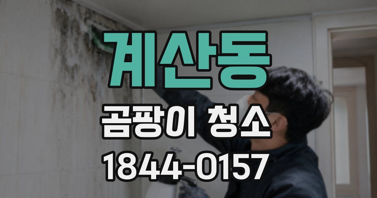 계산동 곰팡이 청소