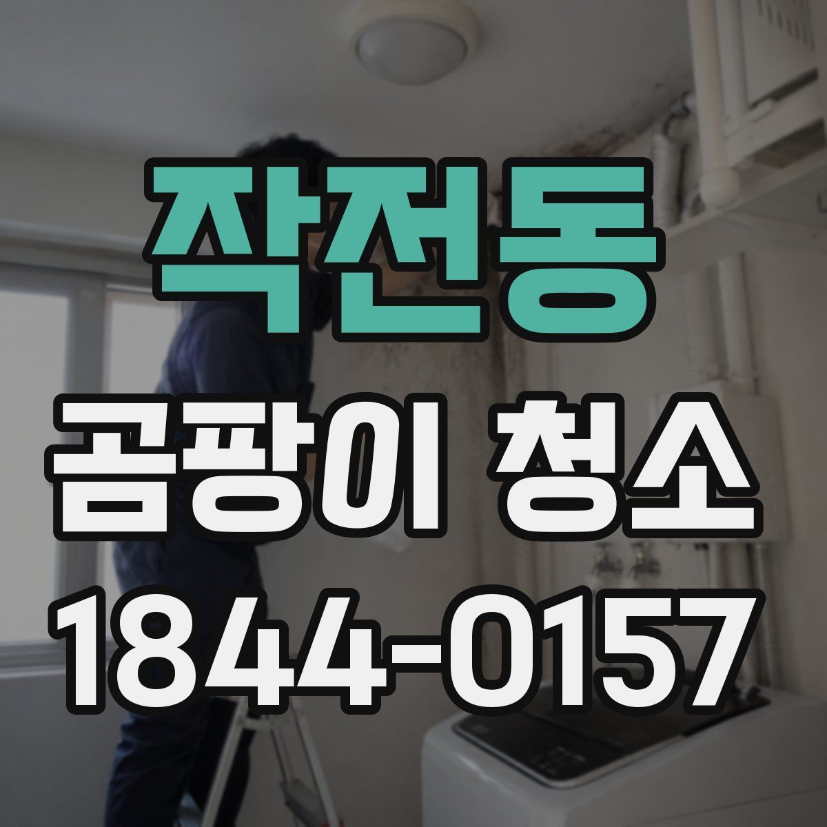 작전동 곰팡이 청소