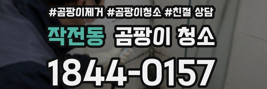 작전동 곰팡이 청소