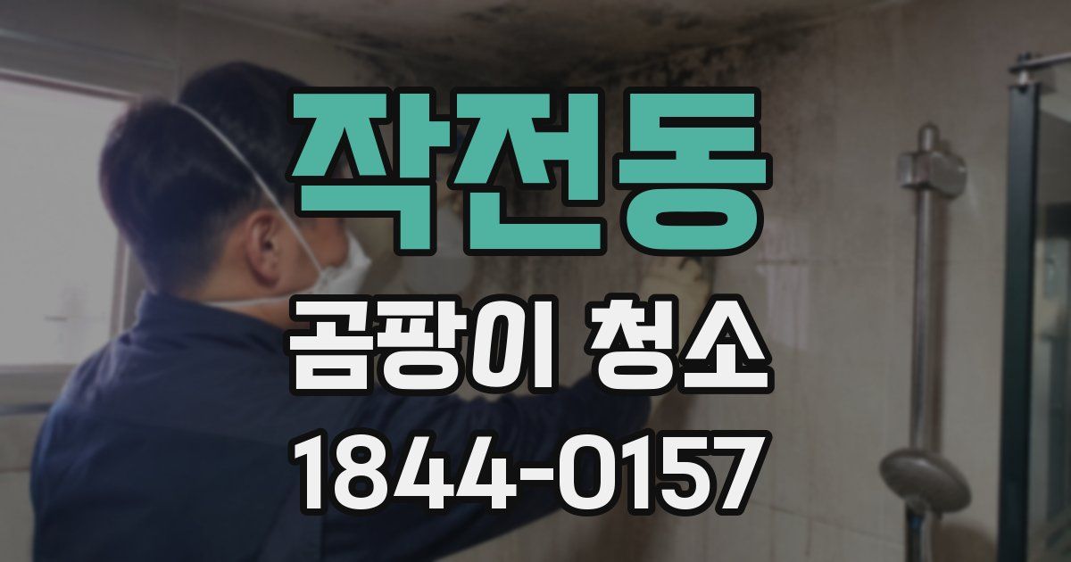 작전동 곰팡이 청소