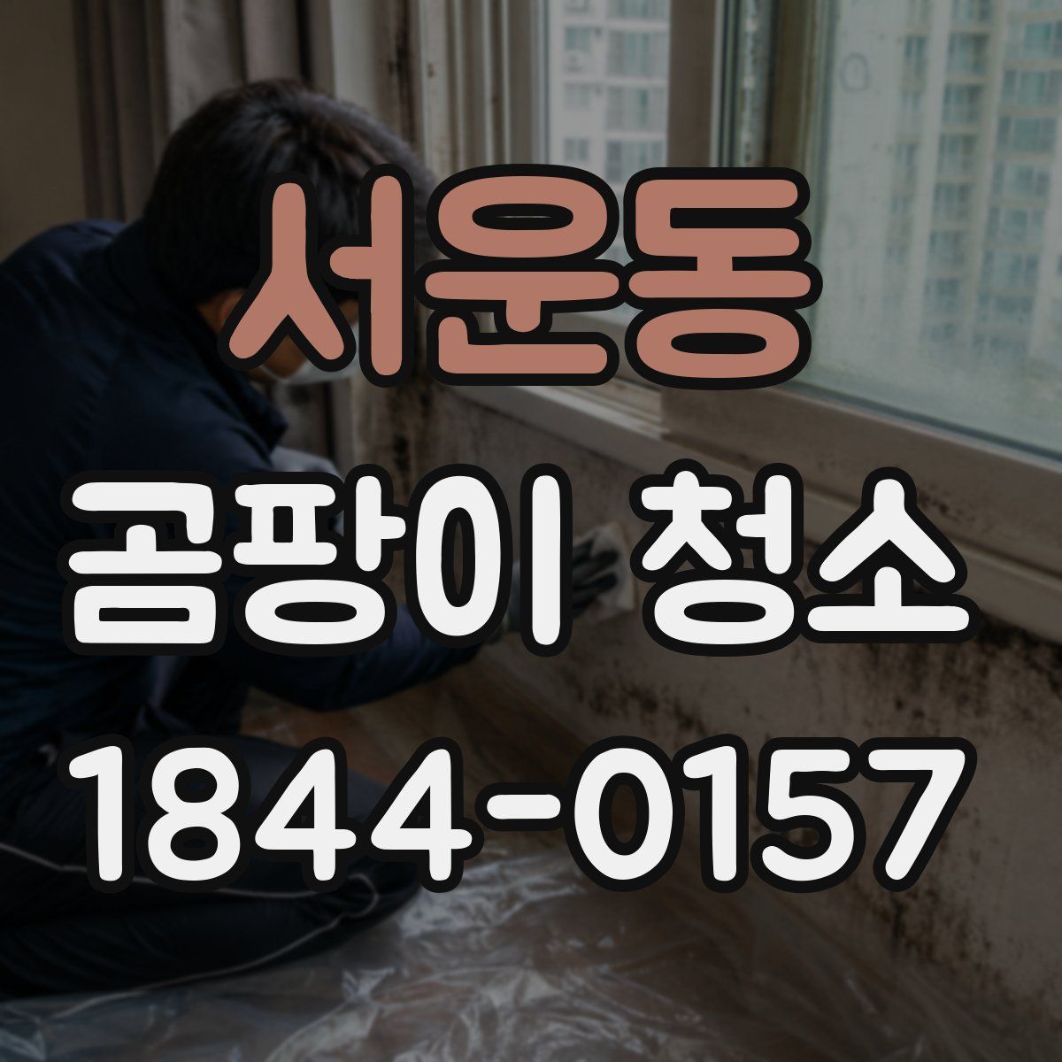 서운동 곰팡이 청소