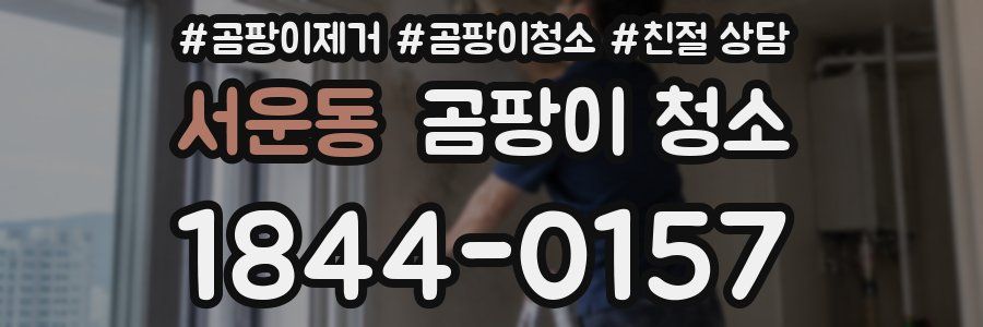 서운동 곰팡이 청소