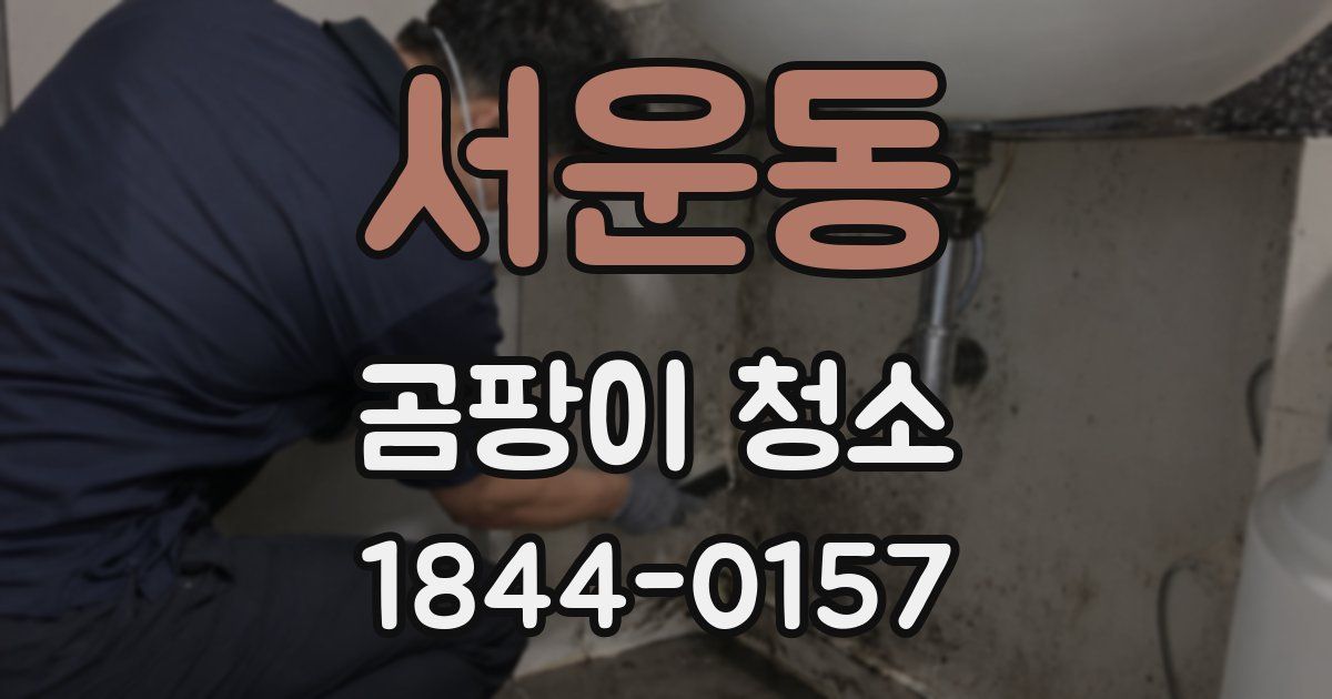 서운동 곰팡이 청소
