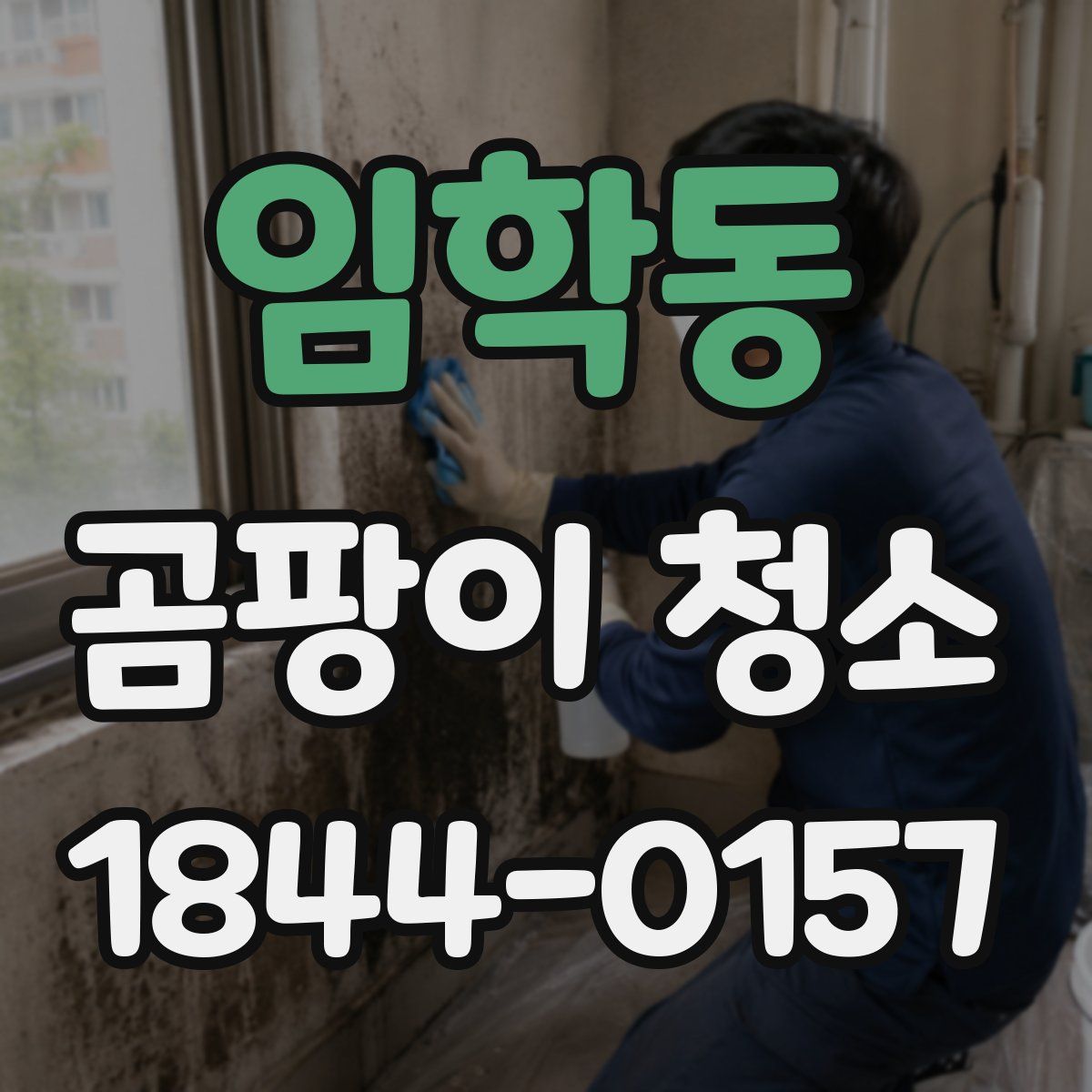 임학동 곰팡이 청소