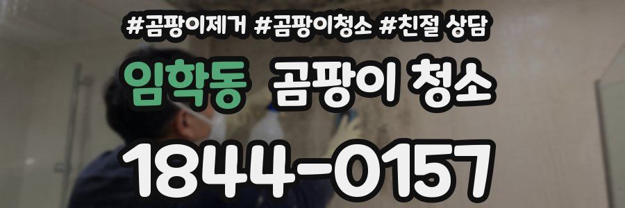 임학동 곰팡이 청소