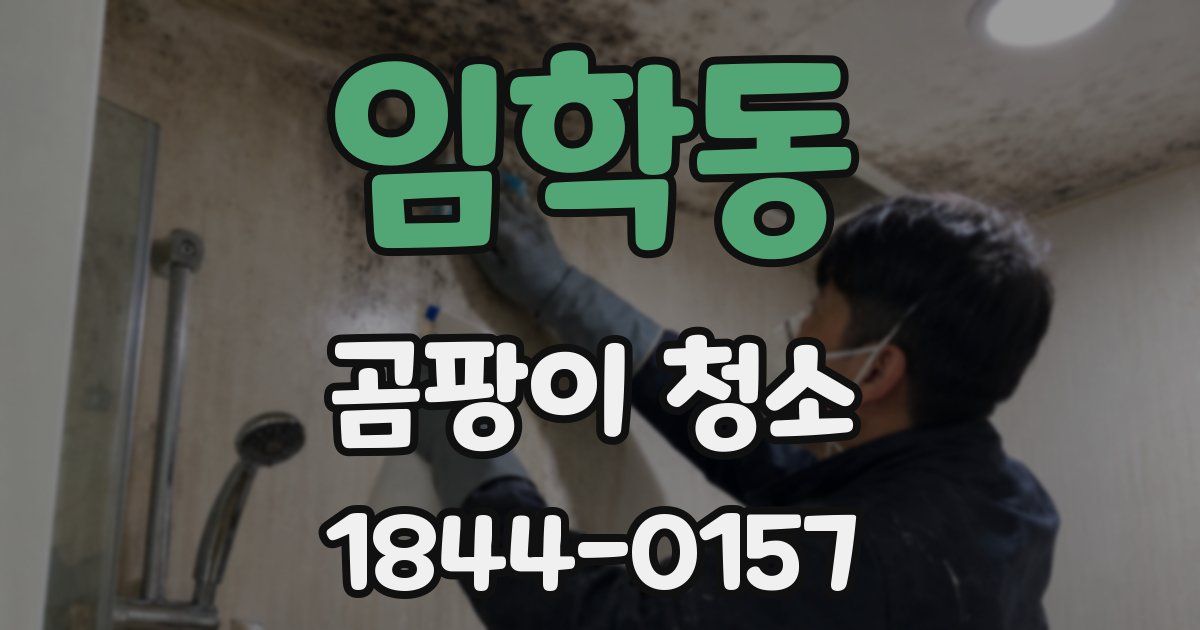 임학동 곰팡이 청소