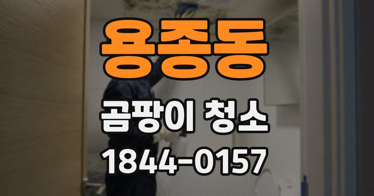 용종동 곰팡이 청소