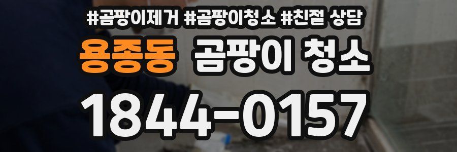 용종동 곰팡이 청소
