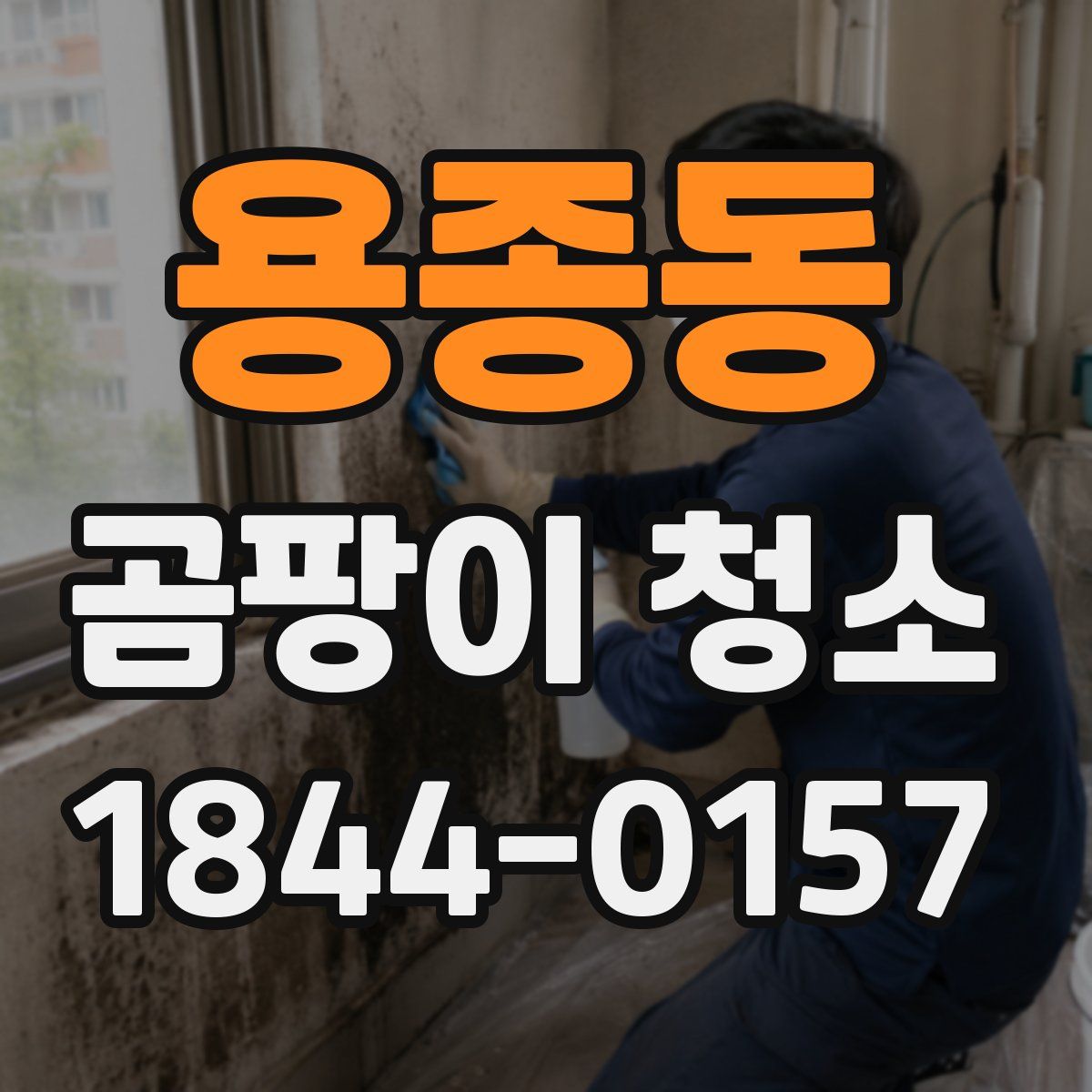 용종동 곰팡이 청소