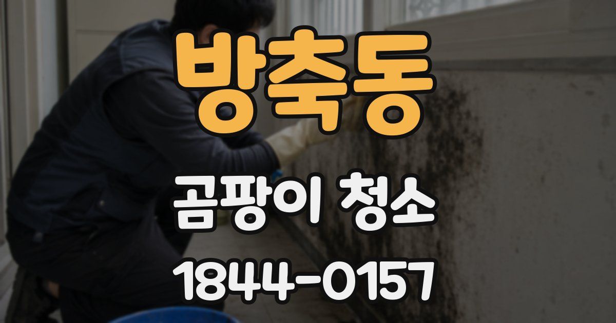 방축동 곰팡이 청소