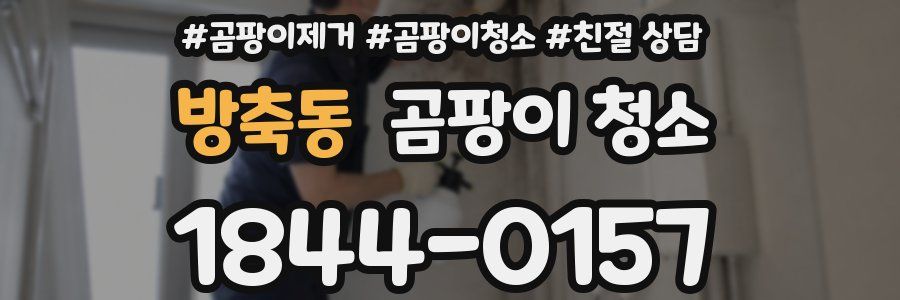 방축동 곰팡이 청소