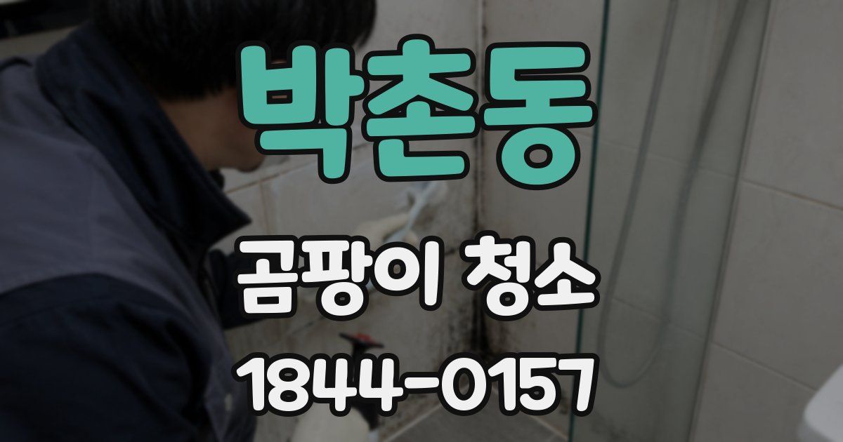 박촌동 곰팡이 청소