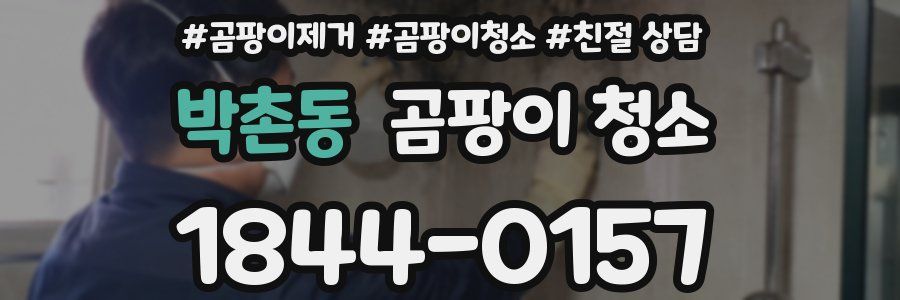 박촌동 곰팡이 청소