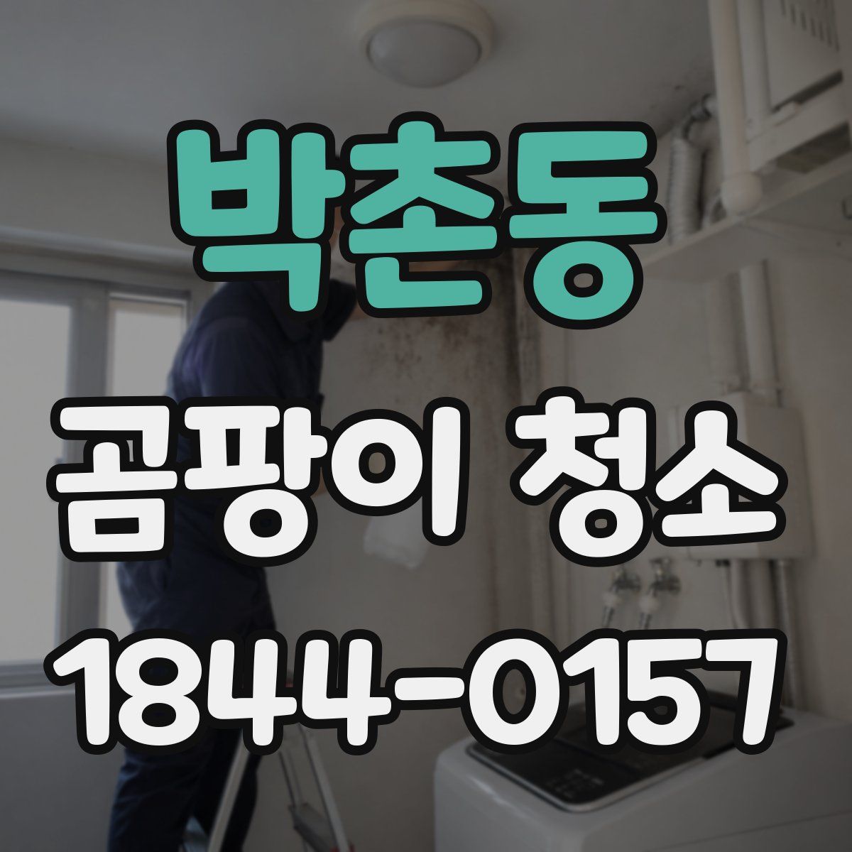 박촌동 곰팡이 청소