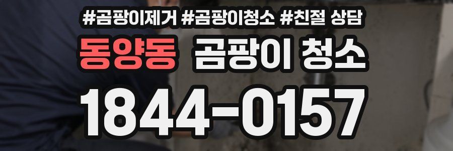동양동 곰팡이 청소