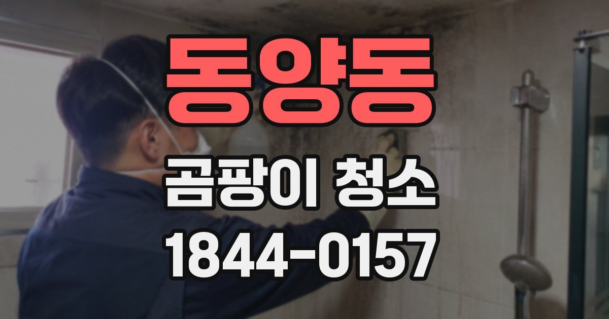 동양동 곰팡이 청소