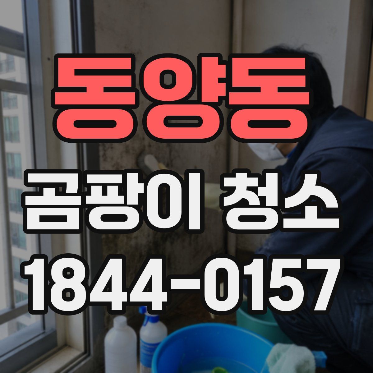 동양동 곰팡이 청소