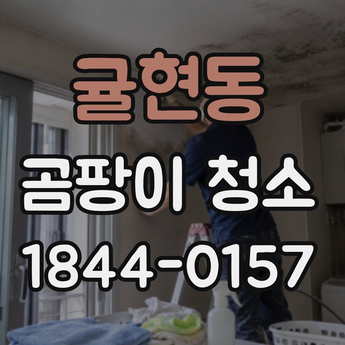 귤현동 곰팡이 청소