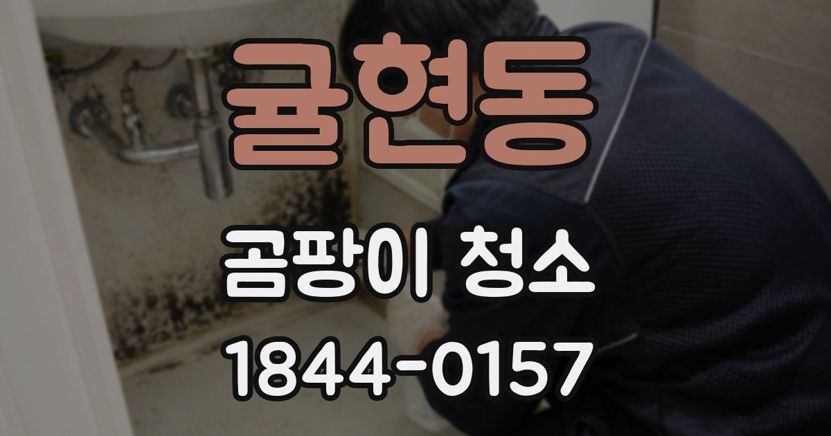 귤현동 곰팡이 청소