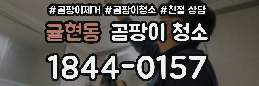 귤현동 곰팡이 청소