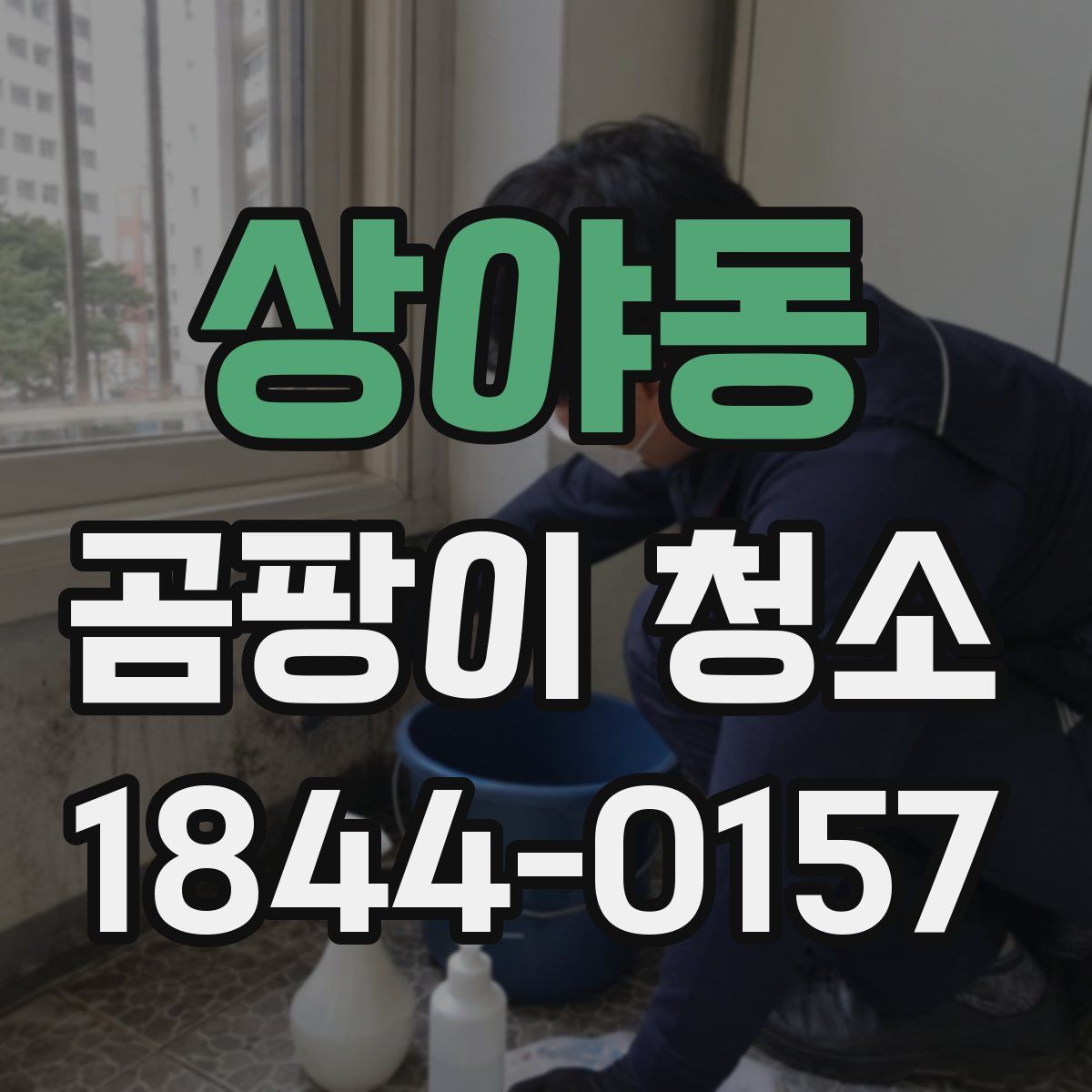 상야동 곰팡이 청소