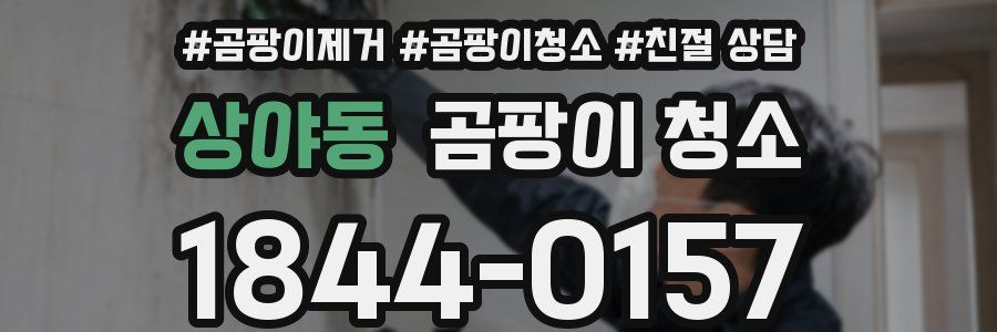 상야동 곰팡이 청소