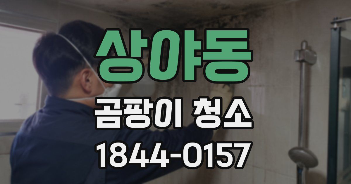 상야동 곰팡이 청소