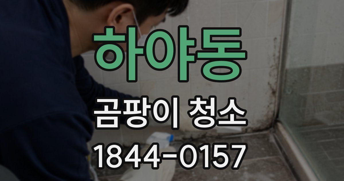 하야동 곰팡이 청소