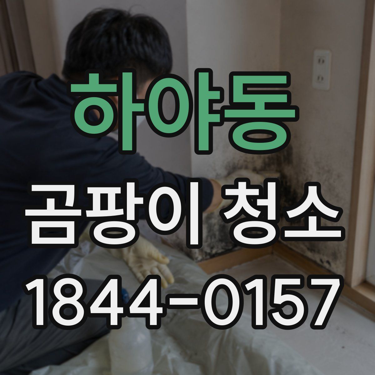 하야동 곰팡이 청소