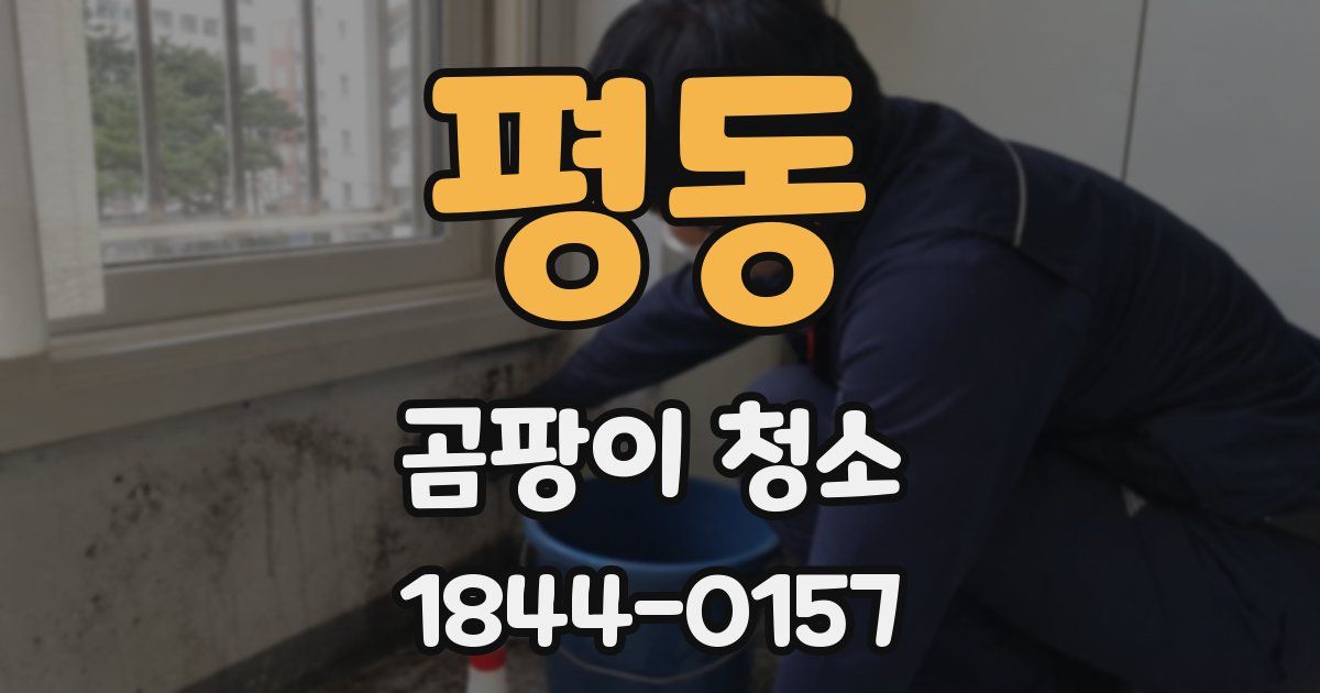평동 곰팡이 청소