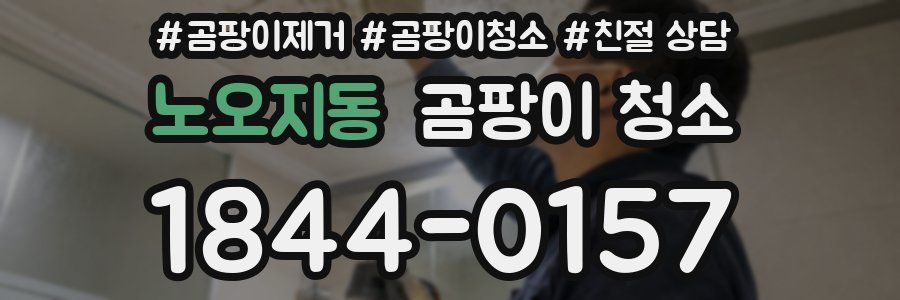 노오지동 곰팡이 청소